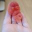 Фигурки из эпоксидной смолы
