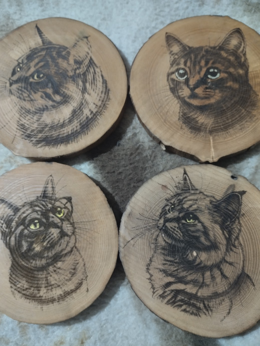 Коты 0